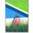 Paper Collective Les Vacances 03 50x70 cm Poster 50x70cm