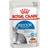 Royal Canin Indoor Sterilised in Gravy Salsa 12x85g