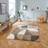 Think Rugs Matrix MT63 Beige, Brown