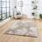 Think Rugs Florence 50033 Abstract High Density Silver, Beige