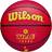 Wilson Basketball