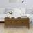 vidaXL 100x50x40 massivt fyrretræ gyldenbrun Sofabord 50x100cm