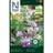 Nelson Garden Honig Facelia