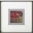 Premier Housewares Poppy Framed Art