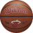 Wilson WTB3100XBMIA basketboll Inomhus & utomhus Brun