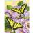 RTO ROYAL BRUSH Junior Small Paint by Number Kit 8-3/4"X11-3/4-Swallowtail Butterflies