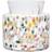 Kosta Boda Meadow 195 Vase
