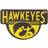 Evergreen Enterprises Iowa Hawkeyes Shaped Coir Doormat Gul, Svart