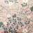 Klippan Yllefabrik Blackthorn Metervara Rosa (63x150cm)