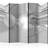 Arkiio White Corridors II 225 x 172 Rumdeler 225x172cm