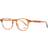 Web Eyewear WE5280
