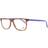 Web Eyewear WE5224