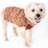 Petlife SW16TNOMD Royal Bark Heavy Cable Knitted Designer Fashion Dog Sweater, Medium