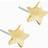 Blomdahl Star Earrings - Gold/Silver