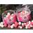 Mainline Fluoro Pop-Ups Essential Cell Pink & White 14mm