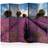 Arkiio Lavender field II Rumsavdelare 225x172cm