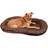 Kerbl Cushion For Dog Oxford Place - Marron