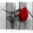 Arkiio Abandoned Rose II Rumsavdelare 225x172cm