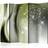 Arkiio Green Gentleness II Rumsavdelare 225x172cm