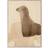 Paper Collective Long Hair Poster 50x70cm