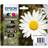Epson 18XL (Multipack)