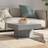 vidaXL grey sonoma Coffee Table
