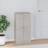 vidaXL Skoreol 55x35x108 konstrueret Skostativ