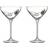 Kosta Boda All about you coupe Champagne Glass 32cl 2pcs