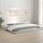vidaXL Bed Frame without Mattress 200 x 200 cm