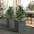 vidaXL Planters 2 Pcs Black 30x30x37cm Polypropylene