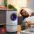 InnovaGoods Anti-Mosquito Suction Lamp