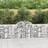 vidaXL Arched Gabion Baskets 20 pcs 200x30x80/100 cm