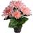 Fröken Fräken dahlia 30 Kunstig plante
