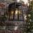Lutec Fia Solar IP44 2W 200lm 2700K Wall light
