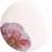 Villeroy & Boch Rose Garden Coupe Flad tallerken
