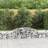 vidaXL Gabion Bågformad 13 St 300x50x40/60 cm