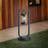 Trio Lighting Sambesi gadelampe skumringssensor Pullert