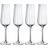 Villeroy & Boch Rose Garden 4-pak Champagneglas