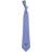 Eagles Wings Kentucky Wildcats Gingham Tie