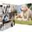 Herma -