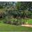 Halls Greenhouses Popular 106 Drivhus Sort 3 mm Glas Aluminium Glas