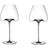 Zieher Vision Balanced Red Wine Glass, White Wine Glass 85cl 2pcs