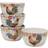 Certified International Floral Rooster Set Ice Cream Dessertskål 4st