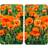 Wenko 2521434500 Universal Set 2 Poppy Field