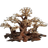 Bonsai Wood Tree Mini Forest 30x16x20cm