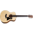 Taylor GS Mini-e