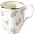 Royal Albert 100 Meadow Mug