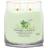 Yankee Candle Cucumber Mint Cooler 9.3cm x 11.4cm Scented Candle 104g