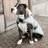 Kentucky Waterproof Dog Coat