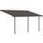 Palram Grau, Bronze Canopia Terrassenüberdachung Capri 3x5.46